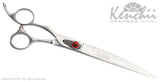 Kenchii Grooming - Lefty Spider Offset Handle 8.0 Shears / Scissors Choose Straight or Curved